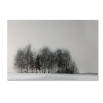 Trademark Fine Art 'Winter Forest' Canvas Art by Gilbert Claes