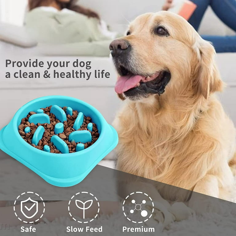 Round Pet Dog Puzzle Slow Food Feeder Durable Dog Interactive