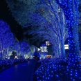 thumbnail image 5 of SHAR Outdoor Solar String Lights - 2 Pack | 22m/200pcs | 8 Modes | Waterproof | for Garden & Yard, 5 of 5