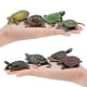 thumbnail image 3 of Figuras de acción de tortuga realistas, figuras de animales de simulación, modelos de vida oceánica, adornos, juguetes para niños, 3 of 6