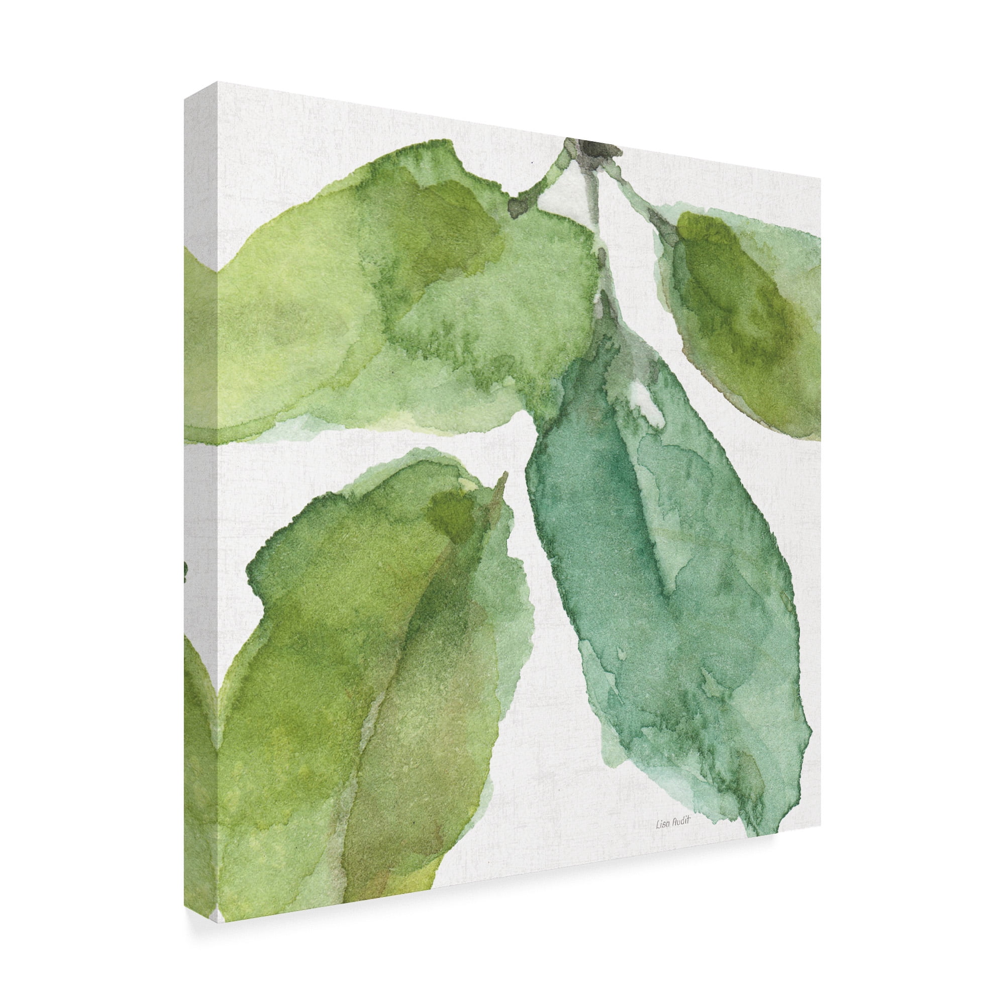 Trademark Fine Art 'Blue and Green Garden VIII' Canvas Art by Lisa Audit