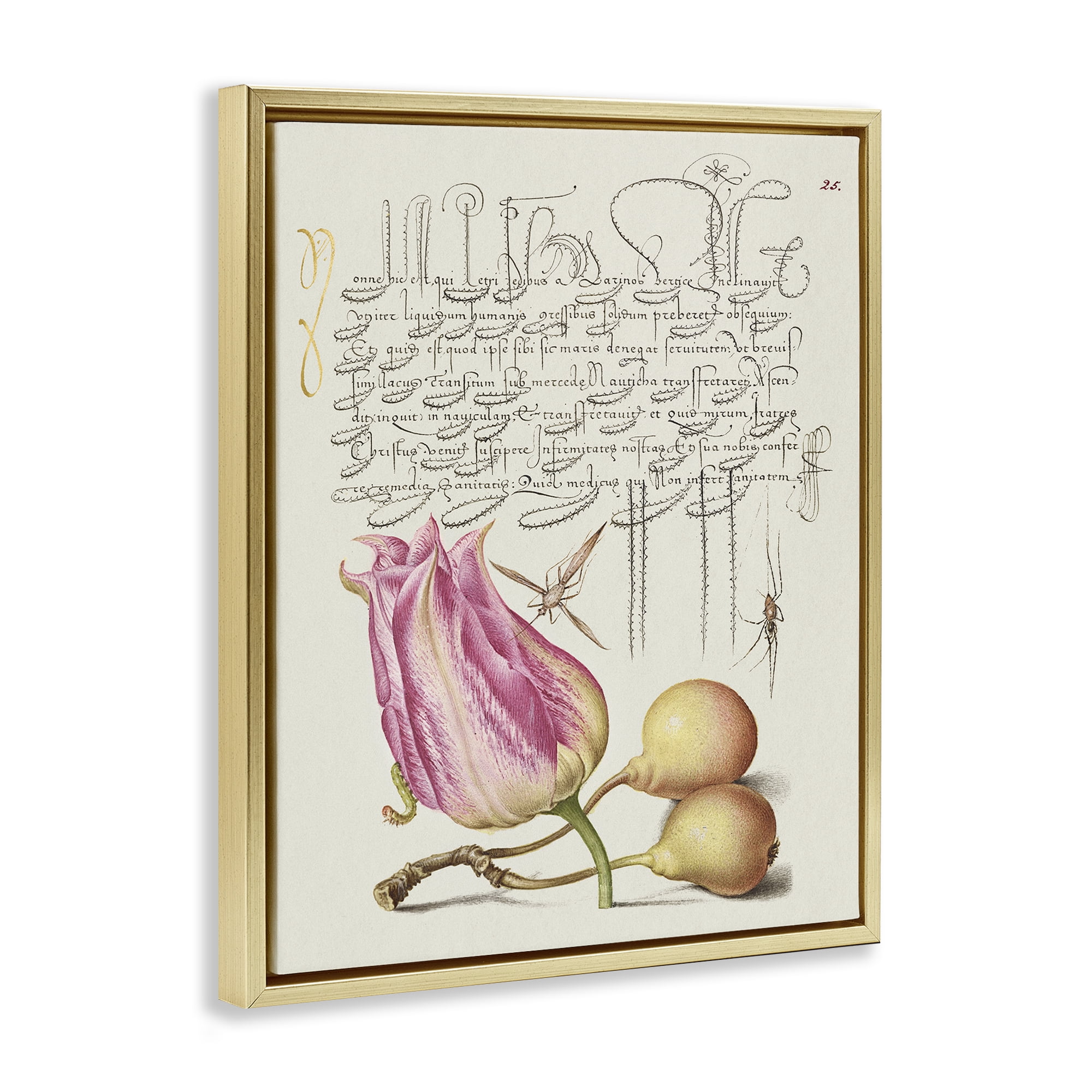 Stupell Industries Budding Lily Vintage Page Text & Numbers Painting Gold Floater Framed Canvas Art Print Wall Art, 25 x 31
