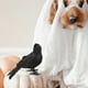 thumbnail image 5 of 1/3/6 Pluma Animal Modelo Simulación Cuervo Negro Pájaro Negro Cuervo Prop Adornos, 5 of 5