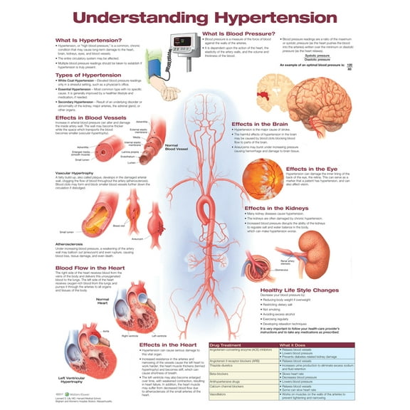 Understanding Hypertension