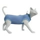 thumbnail image 1 of Kit de recuperación de cirugía Abdominal para cirugía de gatos, ropa interior para mascotas, pijamas postcirugía para gatos MFZFUKR CPB-DE-LYY1892-8, 1 of 5