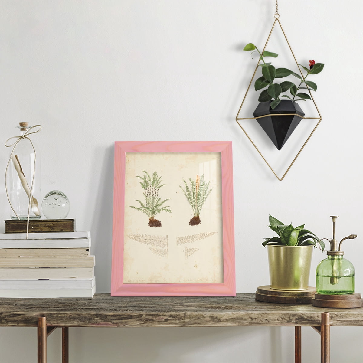 Fern Study III -Framed Print w/glass-Sunset Pink