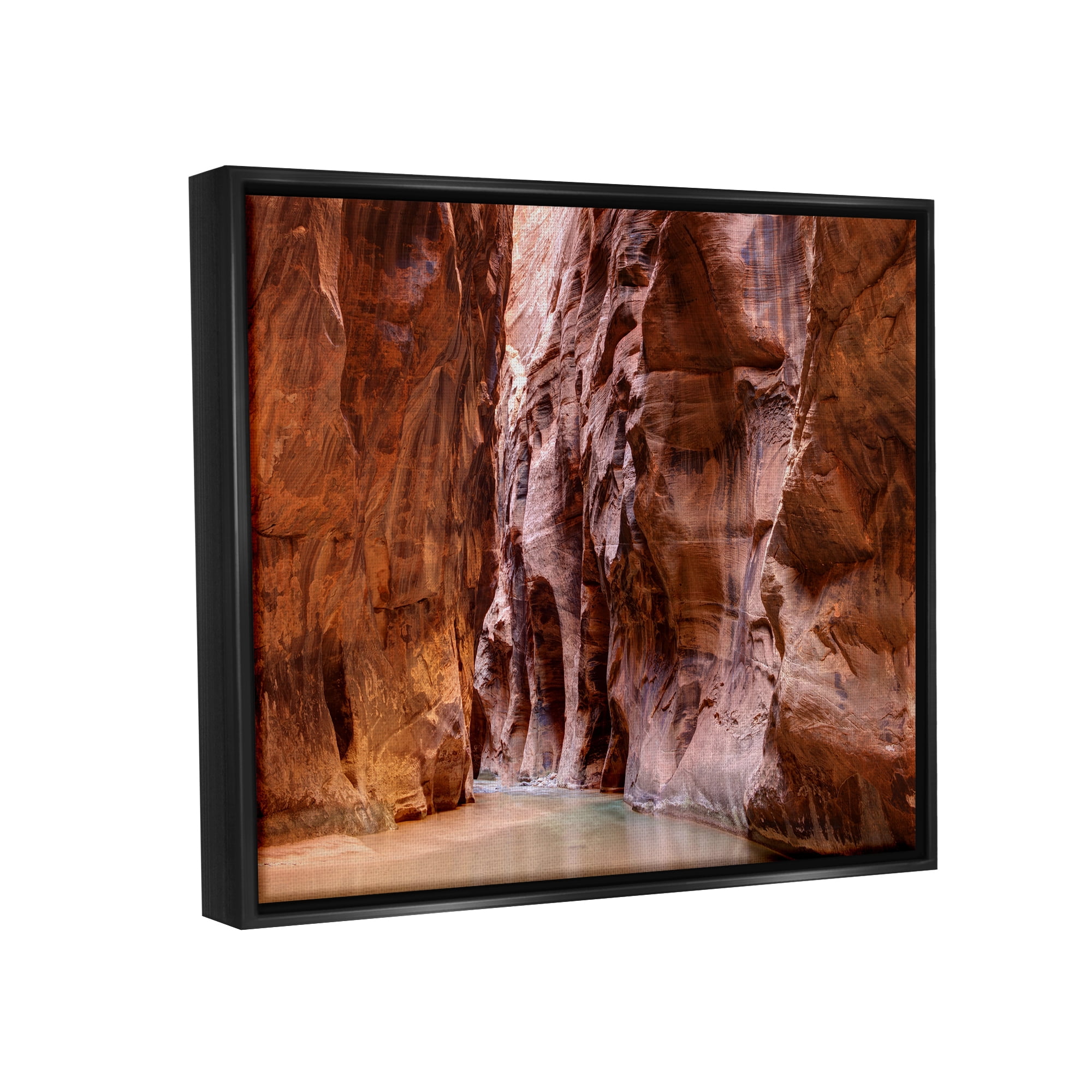 Stupell Industries Zion Park Landscape Nature Photography Black Floater Framed Art Print Wall Art, 31 x 25