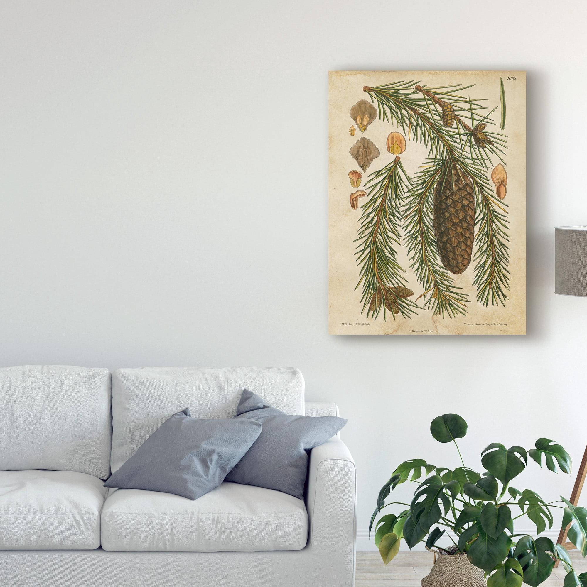Trademark Fine Art 'Vintage Conifers I' Canvas Art by Vision Studio