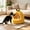 Yellow 5LB, variant on 5LB Thickened Washable Cat Bed for Indoor Kitties - Shape Retaining Semi Enclosed Warm Sleeping Cave with Cushioning - Cozy Secure Resting Retreat for Small Pets