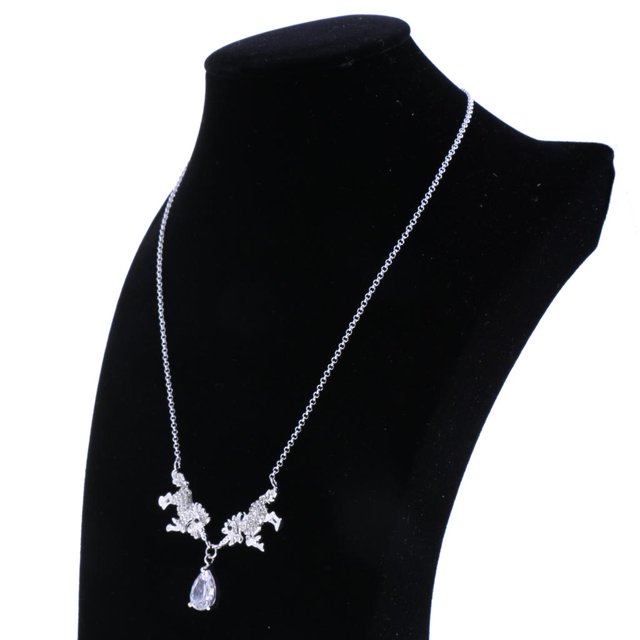 Collar que Cuelga Yinane Opulencia Claridad Diamante Falso Gota Plata