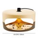 thumbnail image 2 of Dome Flea Trap Flea Killer Trap Pad Bed Bug Trap Light Bulb Safe para niños Mascotas, 2 of 7