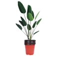 thumbnail image 3 of 50pcs Plastic Flowerpot Succulents Flower Pot Basin Pot Creative Breathable Flower Pot (130x97x116mm), 3 of 4