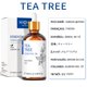 thumbnail image 1 of HIQILI-Aceite esencial de 100 ml para difusores / humidificadores Romero / eucalipto / vainilla / Rosa / lavanda / jazmín / limón / pachulí / árbol del té / aceite de menta qym unisex, 1 of 2