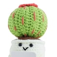 thumbnail image 2 of Plantas en Macetas Crochet Con Tarjeta para Escritorio (tortilla), 2 of 4