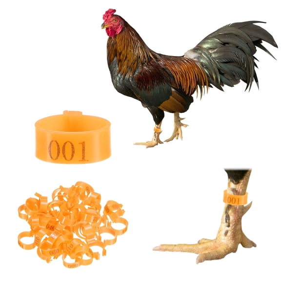Uxcell 100-Pack Adjustable Chickens Leg Bands for Poultry Identification [Green]