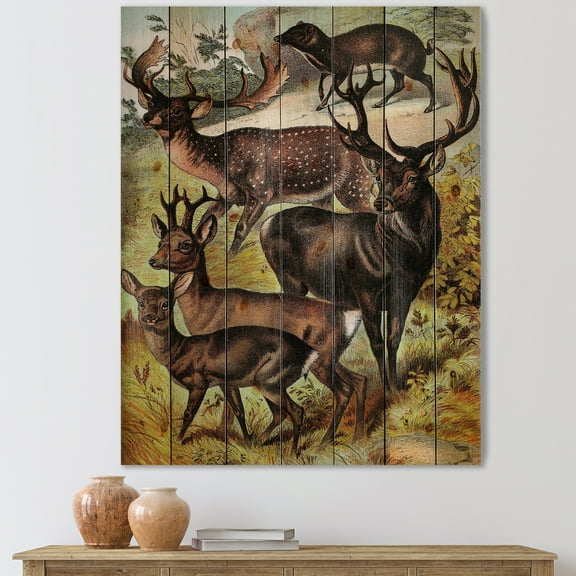 Designart 'Old-world Mammals I' Farmhouse Print on Natural Pine Wood
