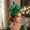 green, variant on 1PCS JINXI Headwear Series Elegant Mini Fascinator Hat Woven Fabric Feather Flower Rhinestone Formal Occasion Headpiece