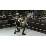 THQ WWE SmackDown vs. Raw 2010