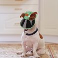 thumbnail image 4 of Pet Sun Hat Dogs and Cats Outdoor Adventure PVC Lightweight Adjustable Shade Cap Small Medium Large, 4 of 7