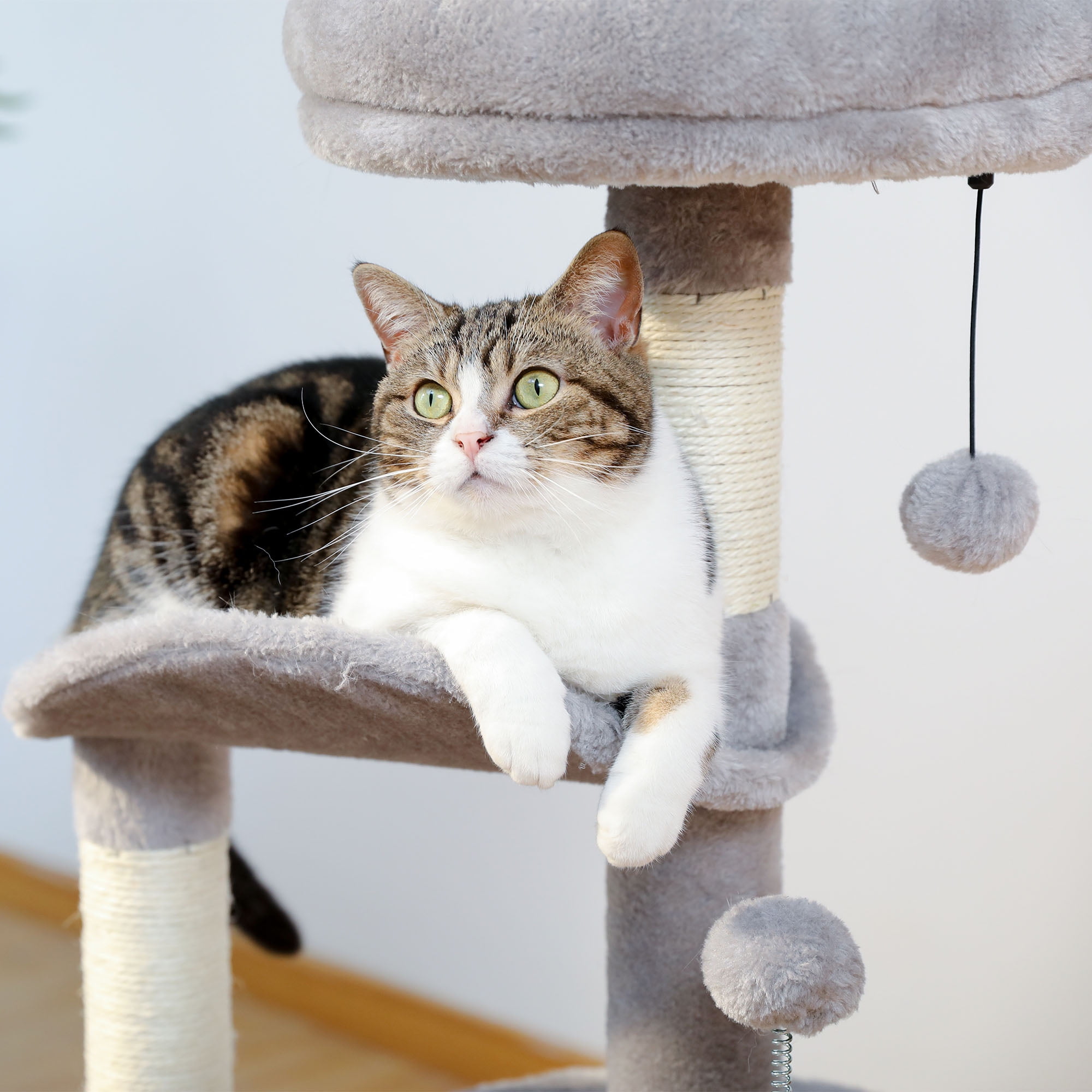 Pefilos 32" Cat Tree Indoor with Self Groomer Brush, Sisal Scratching Post, Dangling Ball, Wood Cat Condo Tower for Small, Medium Cats, Gray Pefilos 32" Cat Tree Indoor with Self Groomer Brush, Sisal Scratching Post, Dangling Ball, Wood Cat Condo Tower for Small, Medium Cats, Gray
