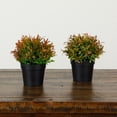 thumbnail image 5 of 6in. Artificial Grass Plant in Black Pot - Set of 2, 5 of 8