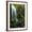 Brown Frame, variant on Art.com Mt Hood National Forest, Waterfall, Columbia Gorge Scenic Area, Oregon, USA Photographic Print by Stuart Westmorland, 12" x 16"