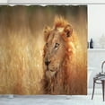 thumbnail image 1 of Wildlife Shower Curtain, Big Male Lion Leo Laying Resting in Dense Grass Field Dangerous Carnivore Predator, Fabric Bathroom Set with Hooks, 69W X 75L Inches Long, Multicolor, by Ambesonne, 1 of 3