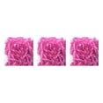 thumbnail image 2 of sweethay Hierba de rafia Papel triturado reciclable Perfecto DIY Confeti Relleno a prueba de golpes Decoración de la boda para la escuela Aula Type1 NO1, 2 of 6