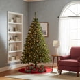thumbnail image 4 of Northlight Pre-Lit Medium Mixed Classic Pine Artificial Christmas Tree - 6' - Warm Clear LED Lights, 4 of 4