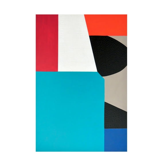 Canvas Wall Art - Sylvie Hamou 'A Colorful Existence I' Wall Art for Living Room, Bedroom, or Office Décor by Trademark Fine Art - 12 x 19 Inches