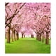 thumbnail image 1 of Tapiz de pared de 150 x 200 cm para dormitorio, decoración floral suave y romántica, estilo bohemio Sakura Romance, 1 of 5