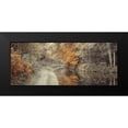 thumbnail image 2 of Frank, Assaf 18x10 Black Modern Framed Museum Art Print Titled - Pathway by canal in Forest, 2 of 5