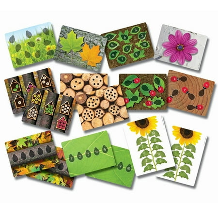 UPC: 5060213761018 | Ladybugs Early Number Card Pack of 16