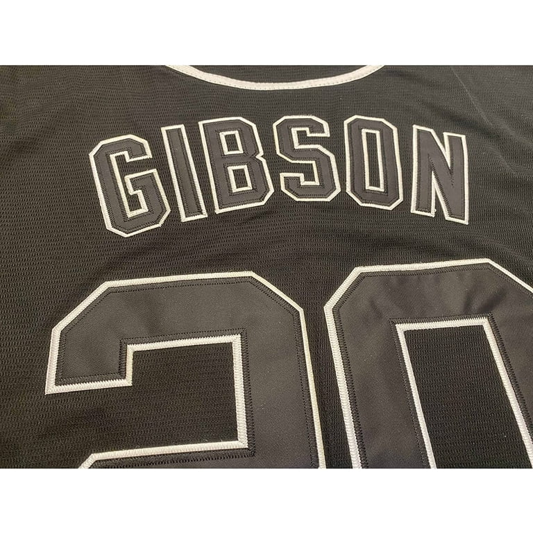Rainbow Hawk Men's #20 Josh Gibson Homestead Grays Negro National League  Baseball Jersey 