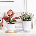 thumbnail image 4 of bestolf Self Watering Pots for Indoor Plants Plastic Wicking Flower Pots Modern African Violet Planter with Reservoir And Wick Rope for House Plants Flowers Herbs, 4 of 8