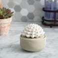 thumbnail image 2 of PORCELAIN AROMA DIFFUSER + 15 mL PEPPERMINT SUCCULENT, 2 of 3