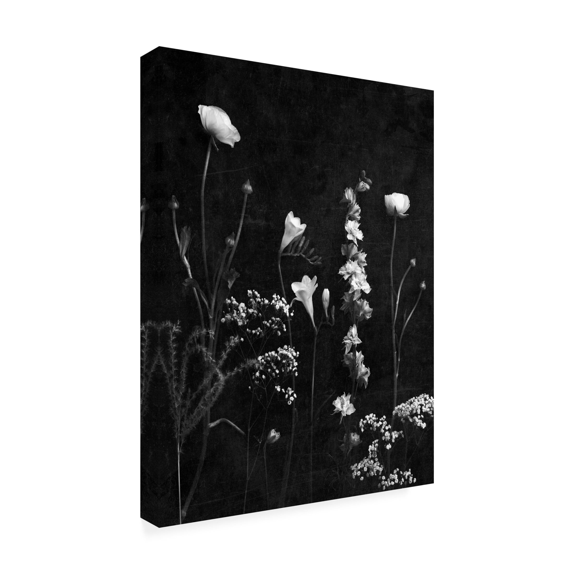 Canvas Wall Art - Tom Quartermaine 'Black and White Botanicals with Texture' Wall Art for Living Room, Bedroom, or Office Décor by Trademark Fine Art - 24 x 32 Inches