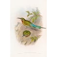 thumbnail image 3 of John Gould 11x14 Black Modern Framed Museum Art Print Titled - Philippine Bee-Eater (1850-1883), 3 of 5