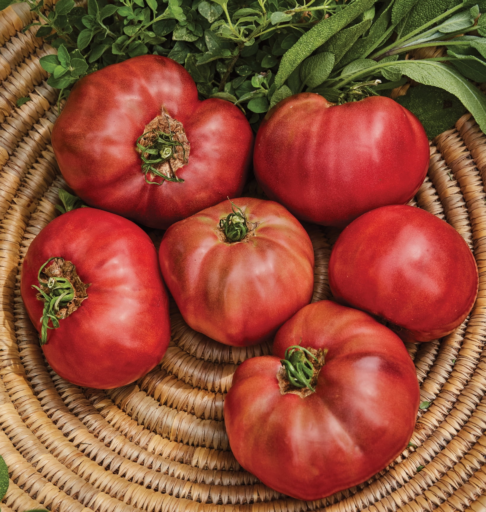 Burpee Cherokee Purple Tomato Vegetable Seed