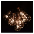 thumbnail image 2 of Vintage Edison Outdoor String Lights (PS50 Clear - Black Wire, 25 ft), 2 of 4