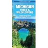 Pocket Naturalist Guides: Michigan Trees & Wildflowers: An Introduction to Familiar Species (Paperback)