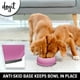 thumbnail image 3 of Comedero Lento Dogit Rosa XS Anti-Gulping para Perros, 3 of 7