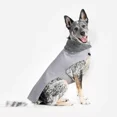thumbnail image 1 of Chaleco Epernay Gris Para Perro Marca Mes Amis, 1 of 5