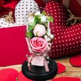 thumbnail image 1 of Two Rose Soap Bouquet Glass Cover LED Light Model Imitation Valentine‘s Day Gift Decoration Ornament, 1 of 5