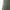 Green Midnight, variant on Athletic Works Women's Plus Size Core Active Legging