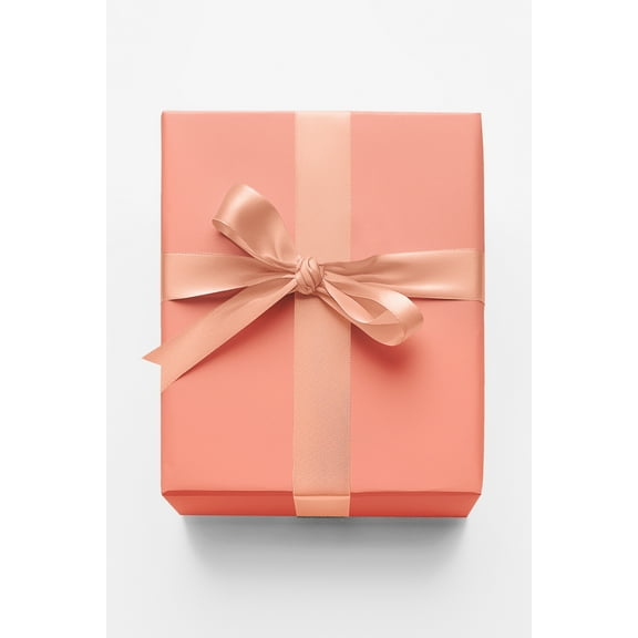 London Penny Premium Wrapping Paper - Light Salmon
