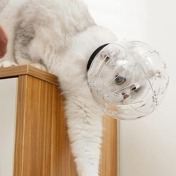 para gatos al aire libre, antilamer, transparente, cómodo, ajustable, transpirable, capucha para el cuidado del gato, para el aseo, el baño, el L Salvador bozal de gato