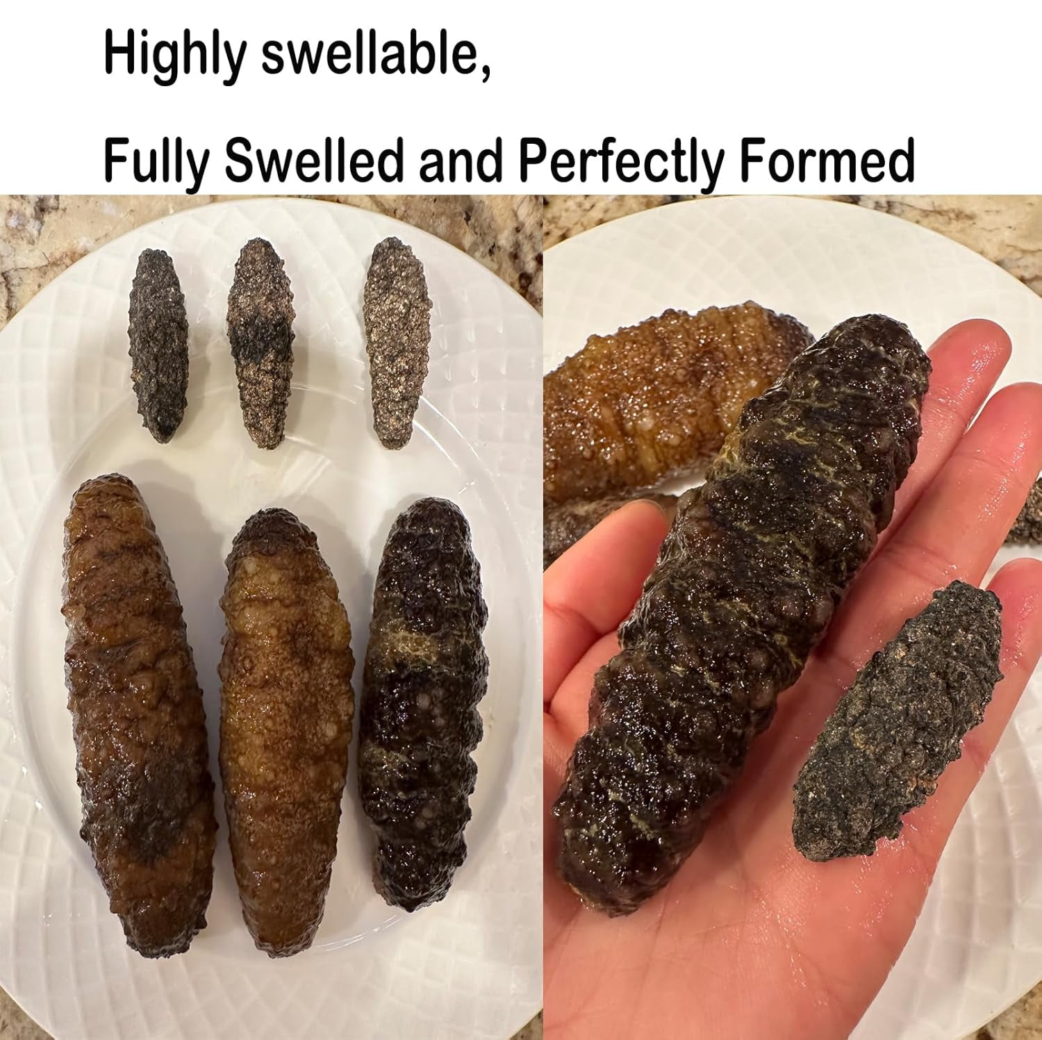 1LB South American Wild Sea Cucumber - 30-50pcs 100% Natural Sun Dried Sea Cucumber Grade AAAA Nutritious Rich In Protein, Vitamins and Minerals Medium Gift Box 1 Pound