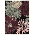 thumbnail image 1 of 5X7 TRIO MUM BLACK A - FRENCH, 1 of 1