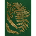 thumbnail image 2 of Vision Studio  15x18 Gold Ornate Wood Framed with Double Matting Museum Art Print Titled - Gilded Ferns I, 2 of 4